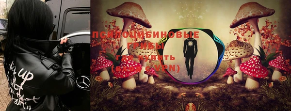 мяу мяу мука Балабаново