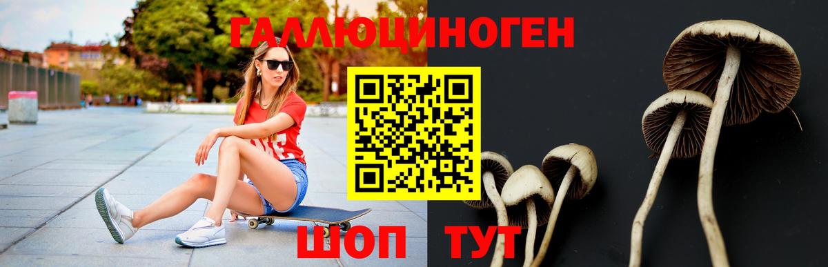 Галлюциногенные грибы MAGIC MUSHROOMS  купить наркоту  Галлюциногенные грибы GOLDEN TEACHER  Дмитров 
